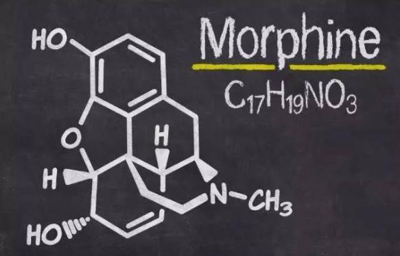 吗啡的副作用有哪些？