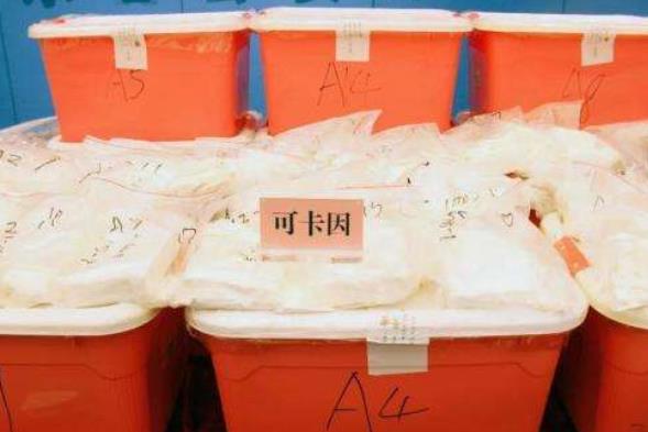 可卡因的危害有哪些?怎么判断可卡因中毒?